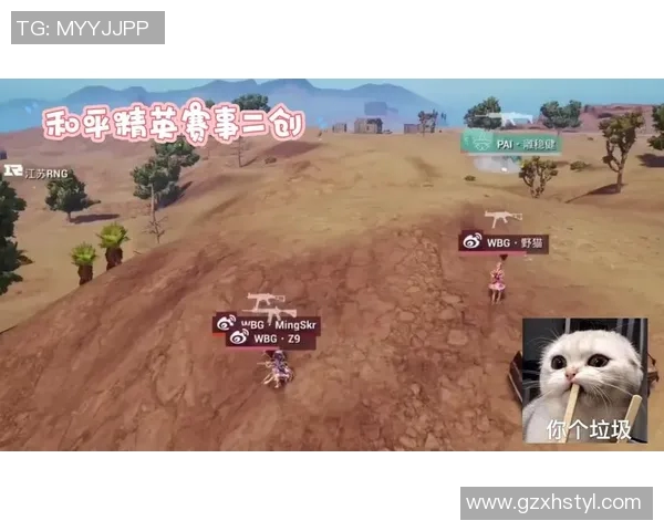 和平精英技术排名RNG创新高引发玩家热议与期待 和平精英技术排名RNG创新高引发玩家热议与期待